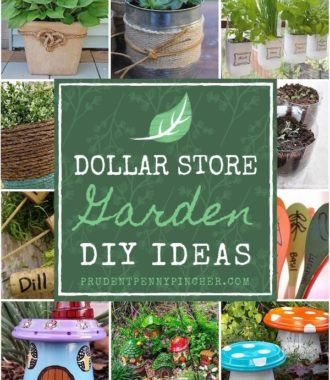 100 Dollar Store Garden Diy Ideas | Стена with regard to Transform Your Garden with Dollar Store Finds for Under Twenty Dollars in 2026