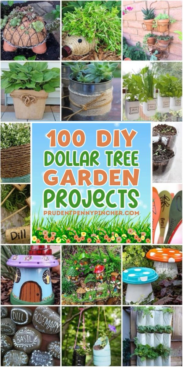 100 Dollar Store Garden Diy Ideas In 2024 | Diy Garden Projects, Garden ... intended for Transform Your Garden with Dollar Store Finds for Under Twenty Dollars in 2026