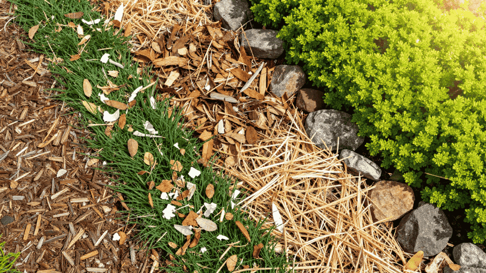 11 Alternatives To Mulch For Your Garden - Randy Lemmon inside Transform Your Garden Beds with Zero Cost Materials You Already Have at Home