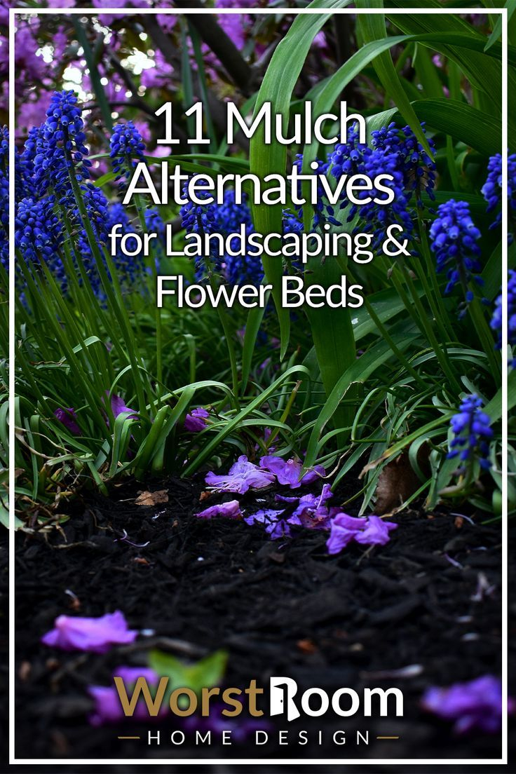 11 Mulch Alternatives For Landscaping &amp;amp; Flower Beds with Cheap Alternatives To Mulch Garden Beds