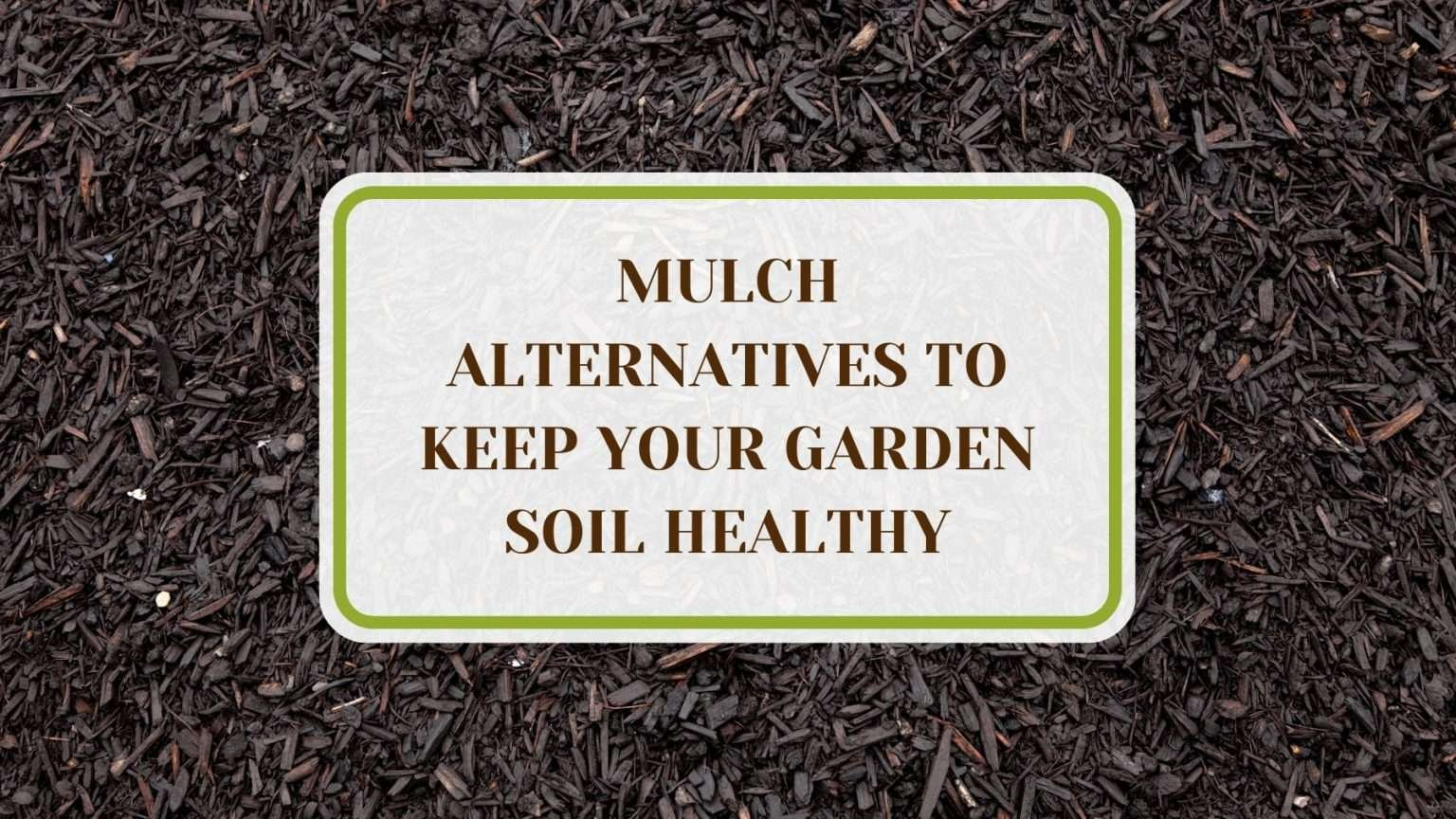 11 Mulch Alternatives To Keep Your Garden Soil Healthy - Plant America pertaining to Best Budget Mulch Alternatives