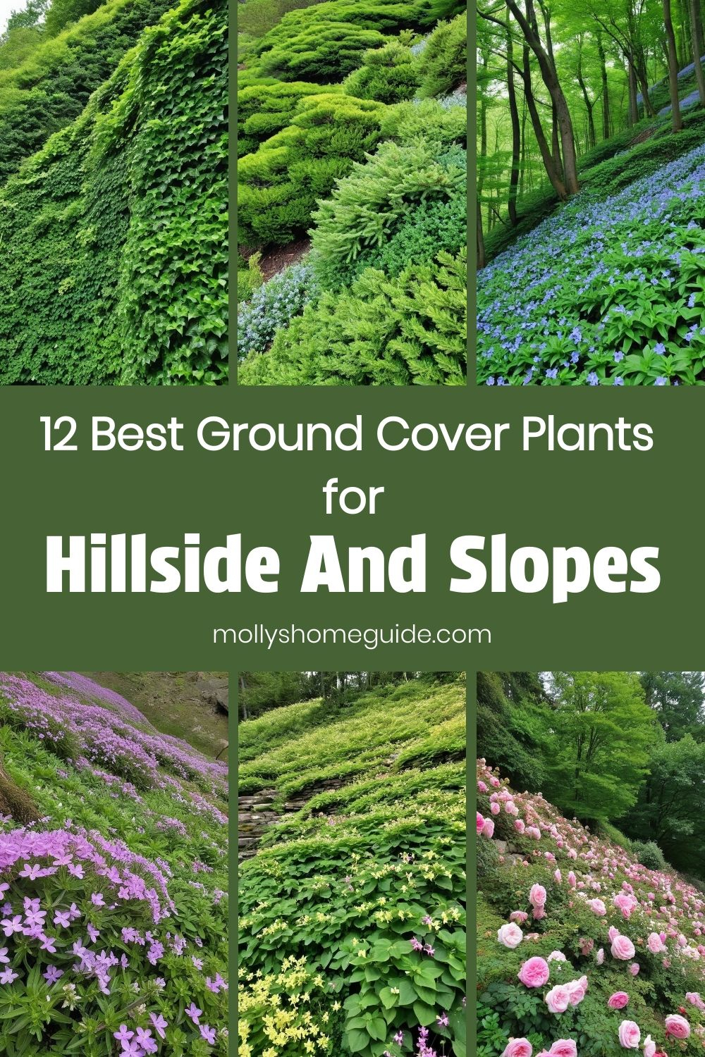 12 Best Ground Cover Plants For Hillside And Slopes | Sloped Garden ... with regard to The Quiet Revolution of Replacing Grass with Native Ground Cover