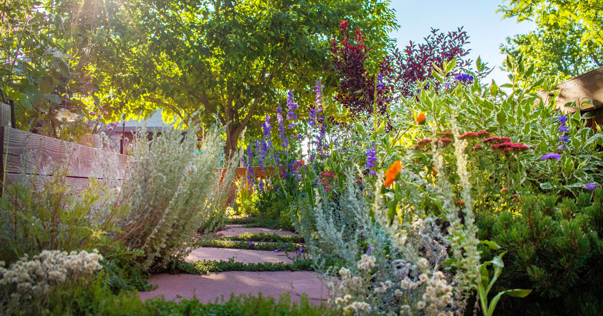 13 Front Yard Xeriscape Landscaping Ideas With Photos Of Drought-Tolerant Designs | Colorado ... with regard to Creative Ways to Add Color and Life to Dry Landscapes This Year