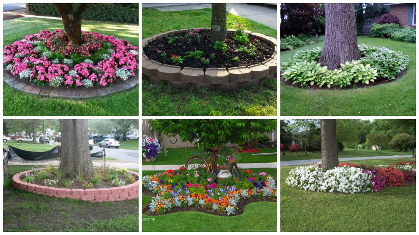 15 Beautiful Ideas For Decorating The Landscape Around The Trees for Tree Landscaping Ideas