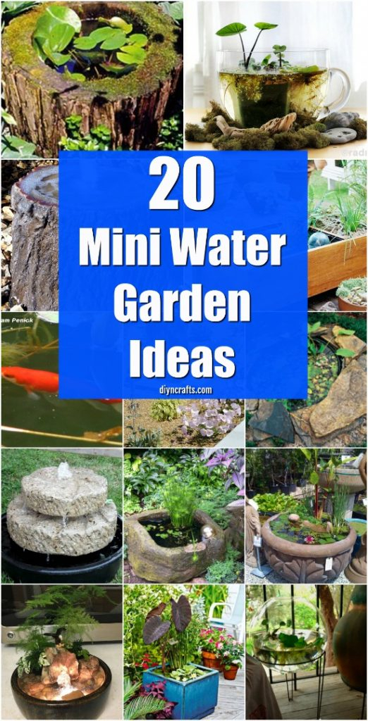 20 Charming And Cheap Mini Water Garden Ideas For Your Home And Garden ... within Cheapest Way To Water Garden