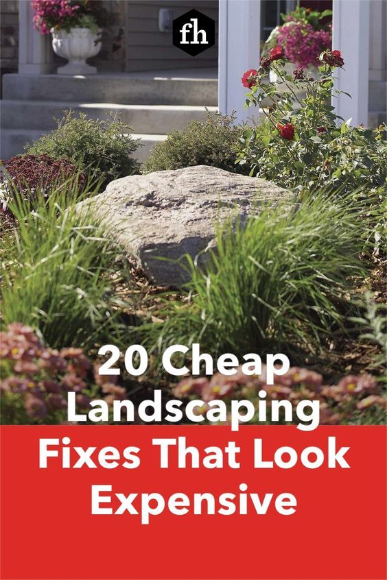 20 Cheap Landscaping Fixes For Expensive Look with regard to The Secret to Making Cheap Plants Look Expensive in Your Front Yard