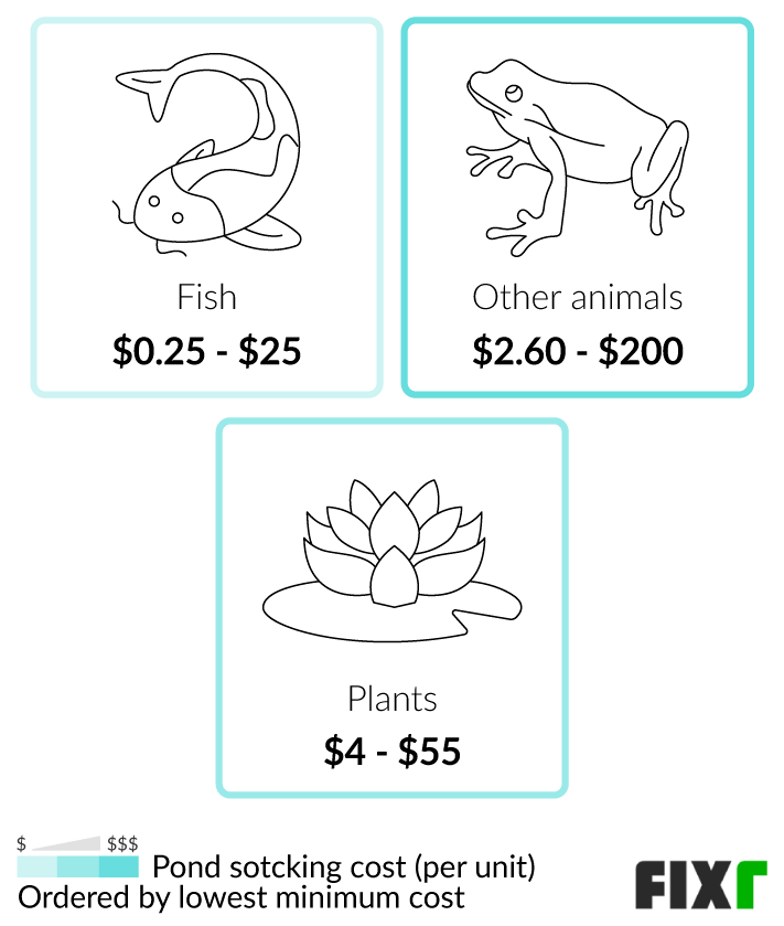 2022 Cost To Build A Pond | Backyard Pond Cost in Diy Pond Cost Breakdown Backyard