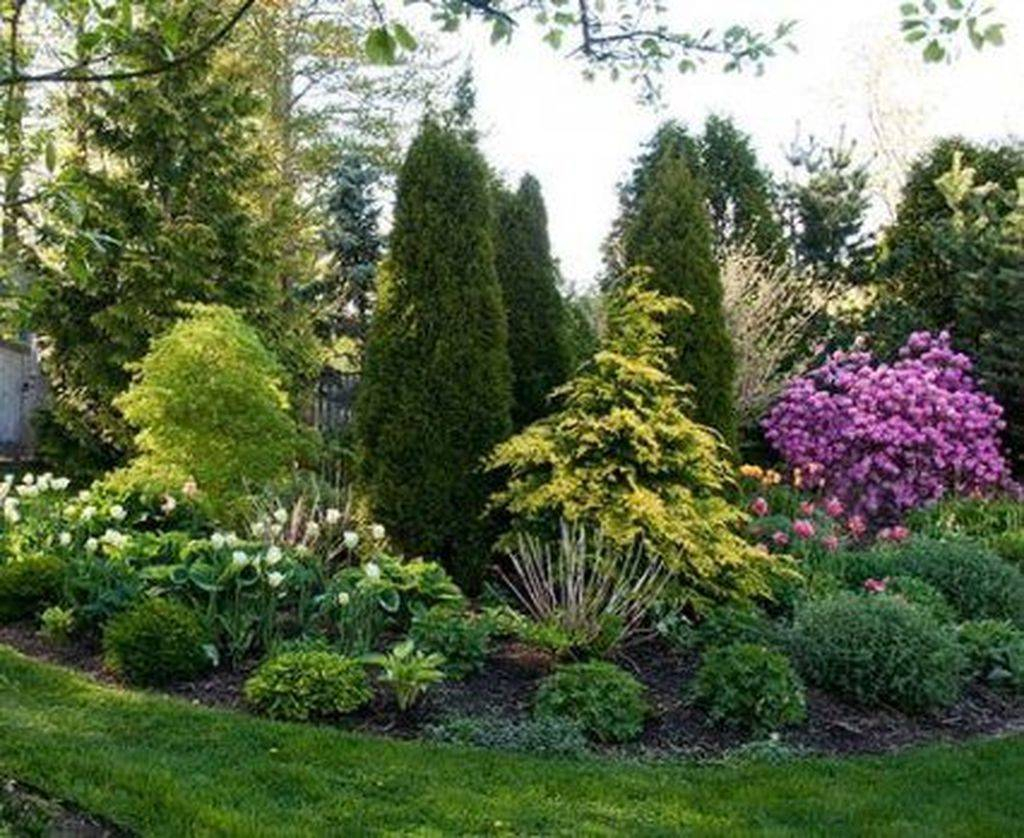21 Evergreen Shrubs Garden Design Ideas You Should Look | Sharonsable for Affordable Evergreen Shrubs Front Yard