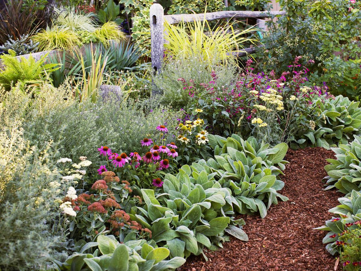 21 Sun Perennial Garden Layout Ideas Worth A Look | Sharonsable for How to Design a Low-Maintenance Sun Garden That Thrives on Neglect in 2026