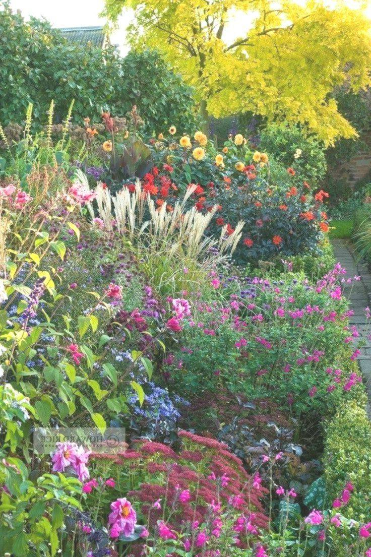 24 Perennial Cottage Garden Plants Ideas Worth A Look | Sharonsable within Perennial Flower Border Ideas Home Garden
