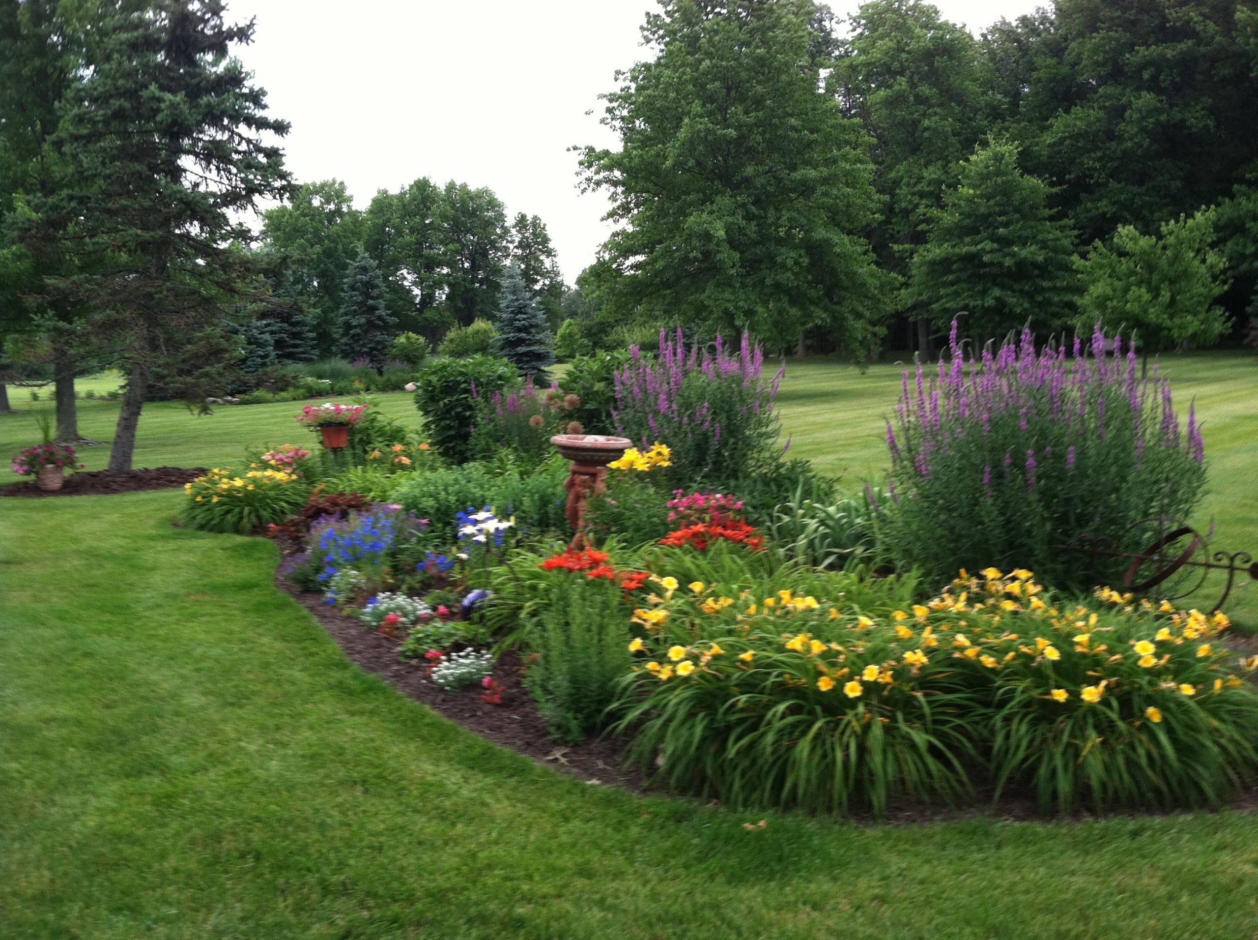 27 Full Sun Garden Ideas To Try This Year | Sharonsable with How to Design a Low-Maintenance Sun Garden That Thrives on Neglect in 2026