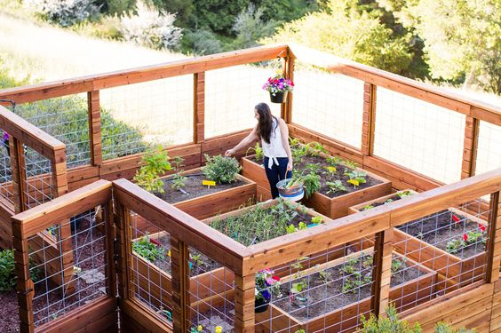30 Diy Cheap Fence Ideas For Your Garden, Privacy, Or Perimeter for Five Creative Ways to Fence Your Garden Without Breaking the Bank in 2026