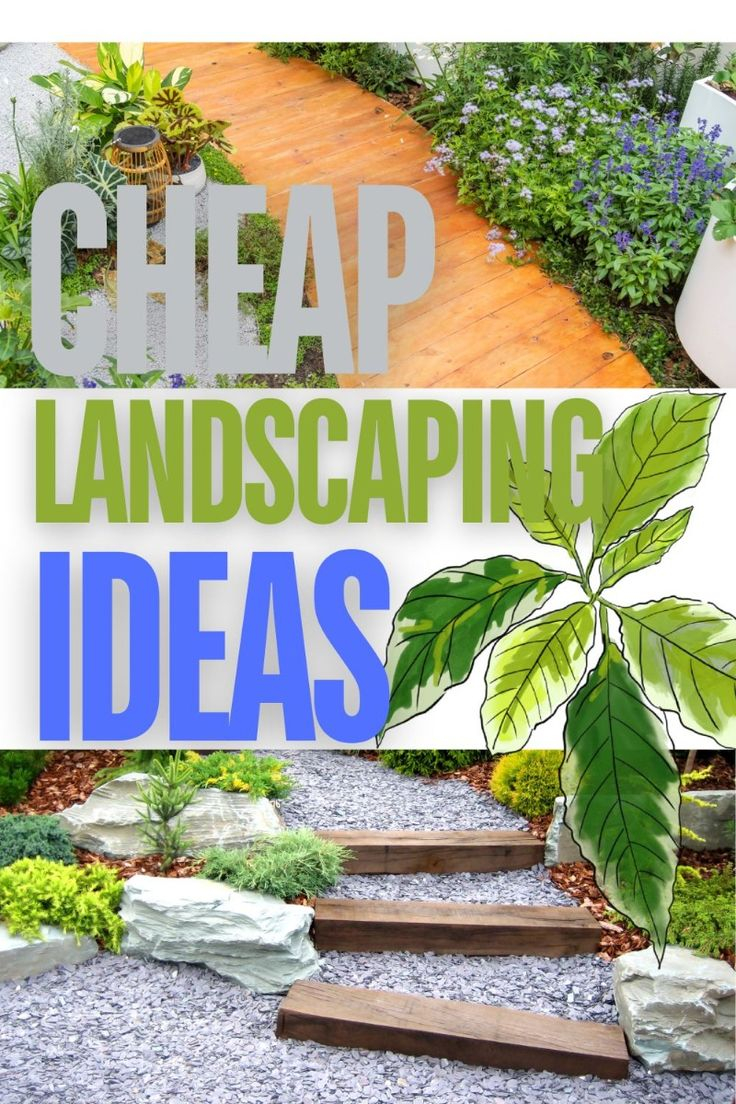 5 Cheap Landscaping Ideas When You're On A Budget | Cheap Landscaping ... intended for The real estate agent guide to high-value low-cost outdoor improvements