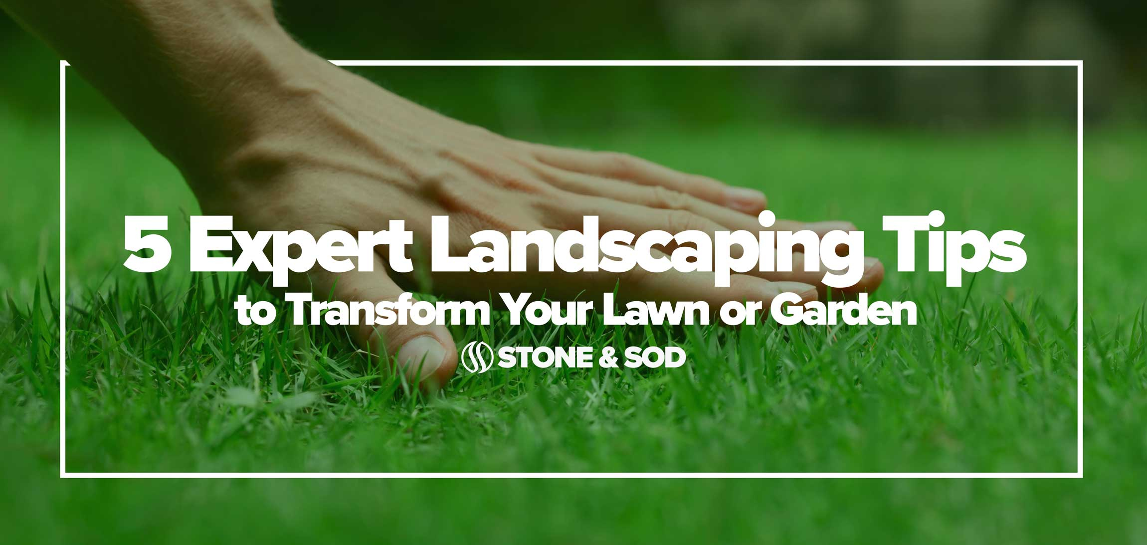 5 Expert Landscaping Tips To Transform Your Lawn Or Garden - Stone And ... within Why Timing Your Pruning Correctly Changes Everything for Next Season