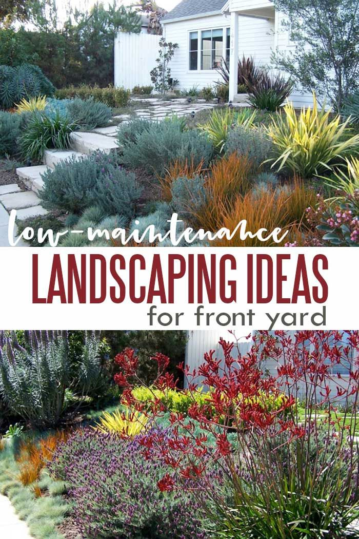 6 Landscaping Ideas For Front Yard On A Budget – Artofit intended for Smart Design Tricks That Make Small Front Yards Look Expensive