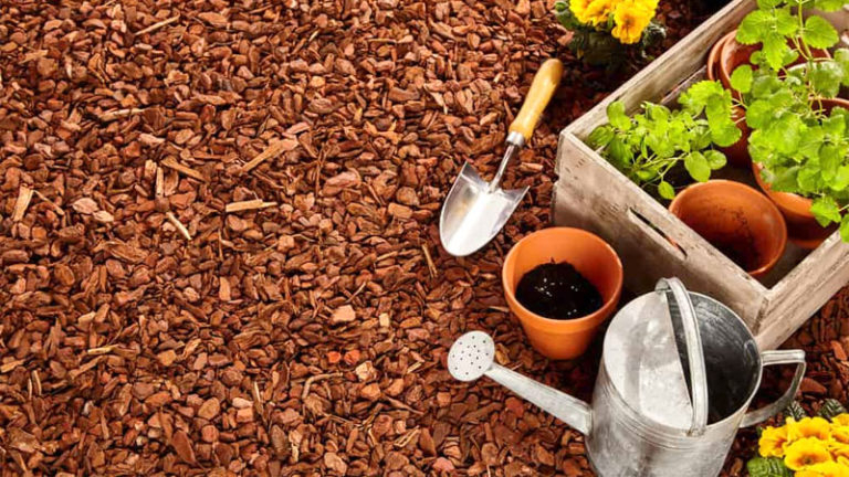 7 Best Mulch Alternatives For Your Home Garden (Be Different) in A Practical Guide to Using Pine Needles as an Affordable Acid Loving Plant Mulch