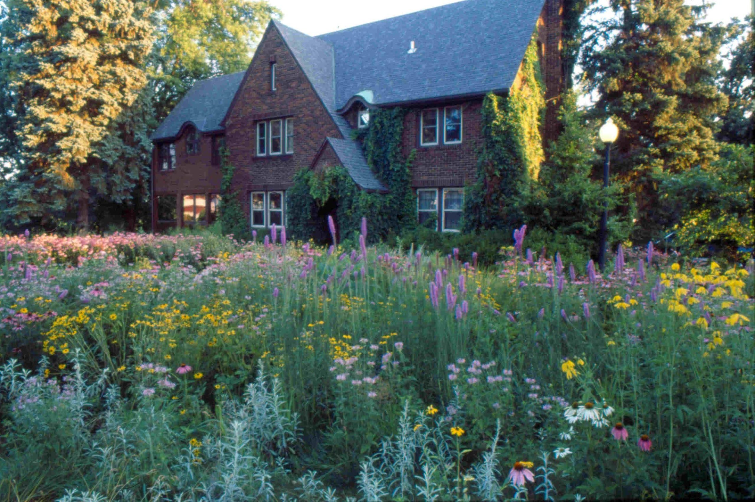 9 Front Yard Native Plant Garden Design inside Native Plants Front Yard Landscaping