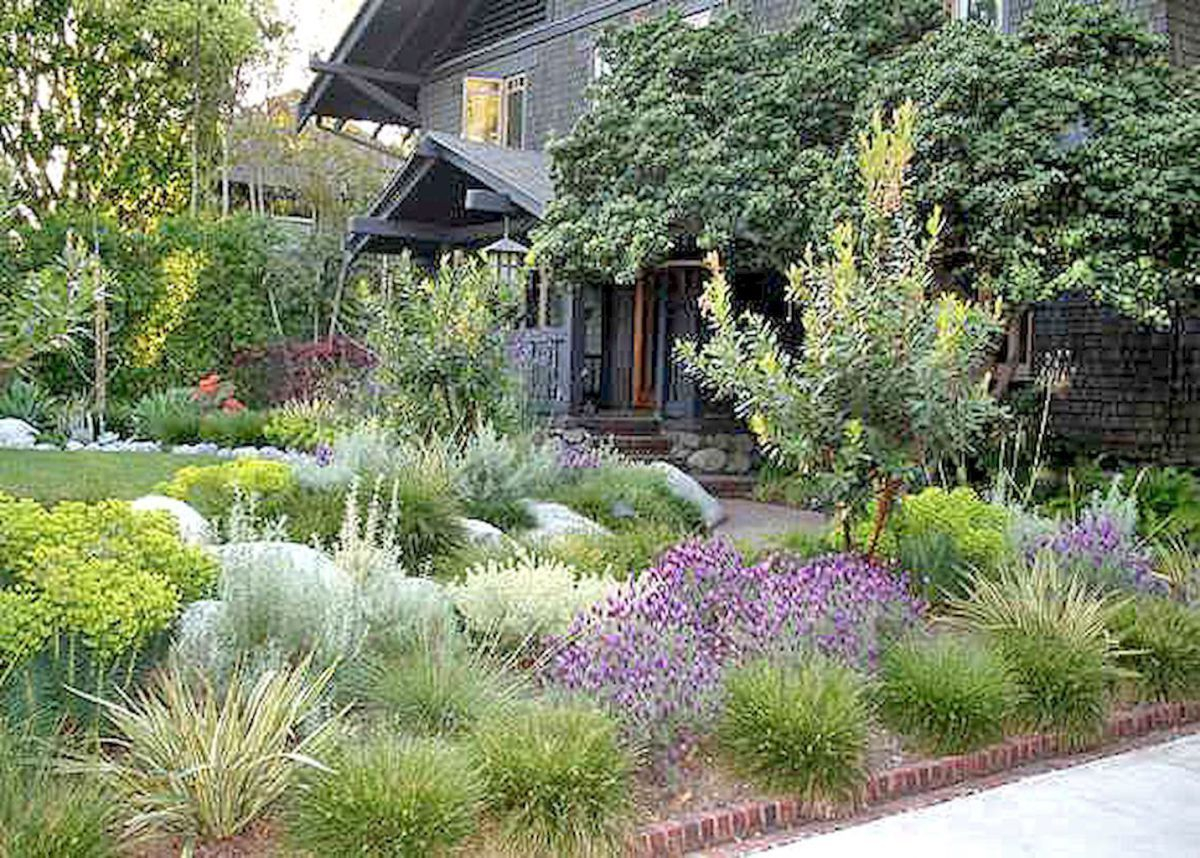 9 Front Yard Native Plant Garden Design throughout The Real Cost of Replacing Lawn with Native Plants in 2026