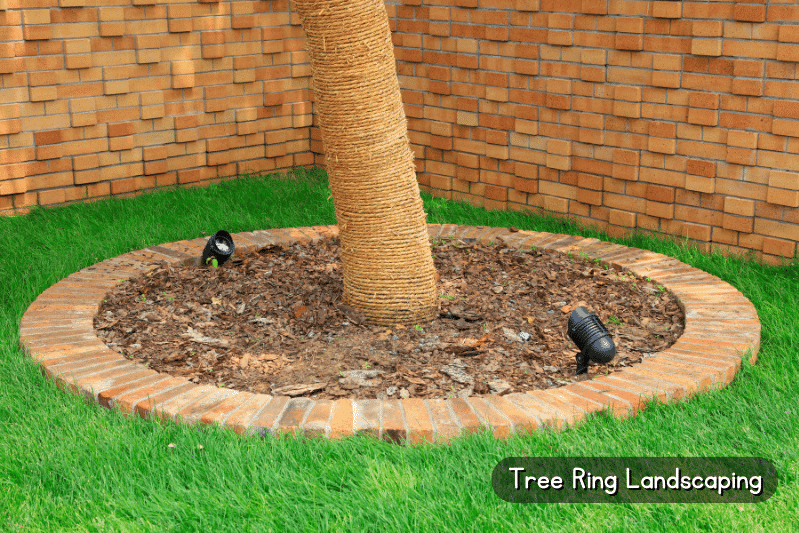 Are Tree Rings Bad For Trees? (Tree Ring Landscaping) - The Backyard Pros inside Choosing the Right Materials for Tree Rings That Last Through Every Season