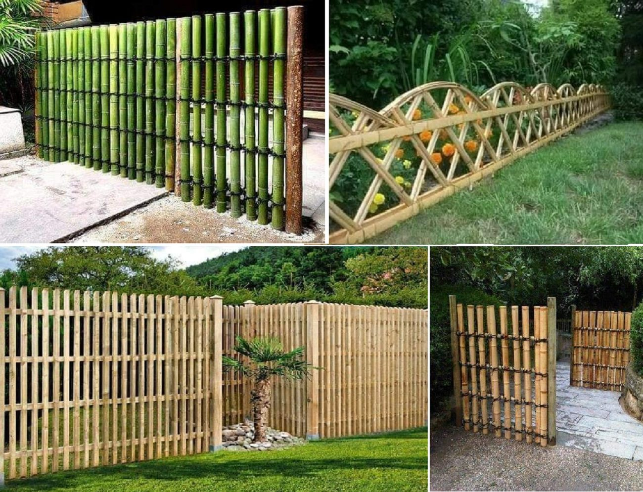 Bamboo Fencing _ Diy Bamboo Fencing – Akapv in Bamboo vs Wood Fence Costs in 2026 What Homeowners Need to Know