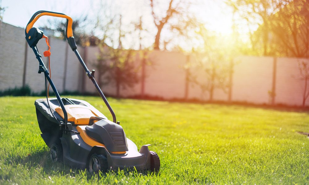 Best Cheap Lawn Mowers In 2025 Reviews - Best Of Machinery inside Best Budget Lawn Mower For Small Yard