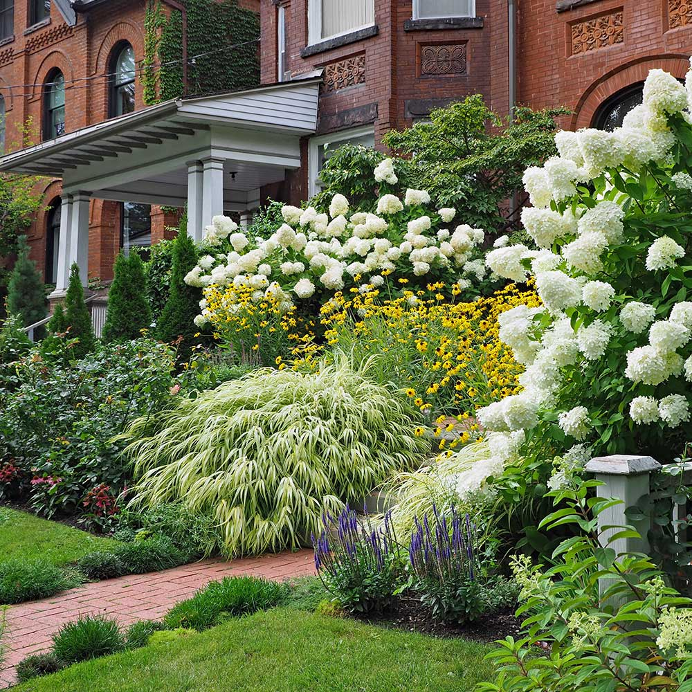 Best Flowering Shrubs Near House At Lorie Gray Blog intended for Top Drought Tolerant Flowering Shrubs for Front Gardens in 2026