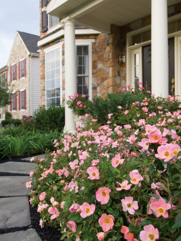 Best Plants For Curb Appeal At William Everhart Blog throughout Best Cheap Plants For Curb Appeal