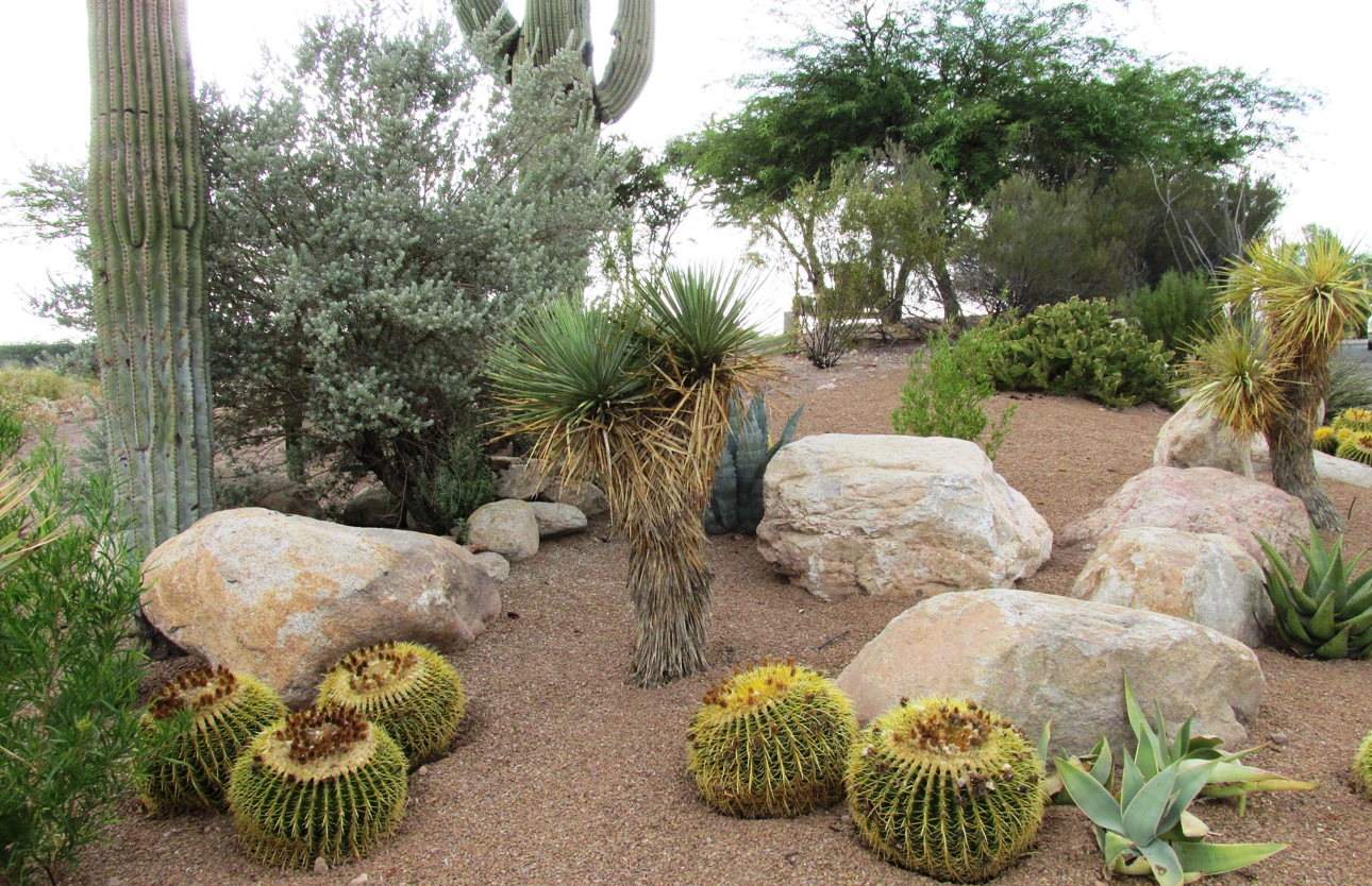 Desert Landscaping Rocks 25 Creative Desert Garden Ideas For pertaining to The Secret to Cool Roots and Less Water Use in Arid Climates