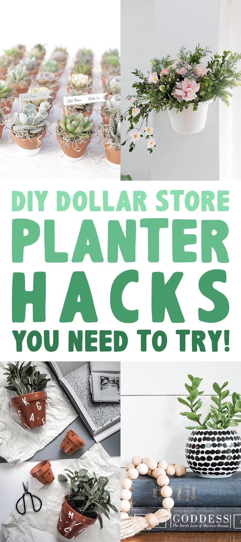Diy Dollar Store Garden Ideas At Winifred Yates Blog inside Dollar Store Garden Ideas Diy