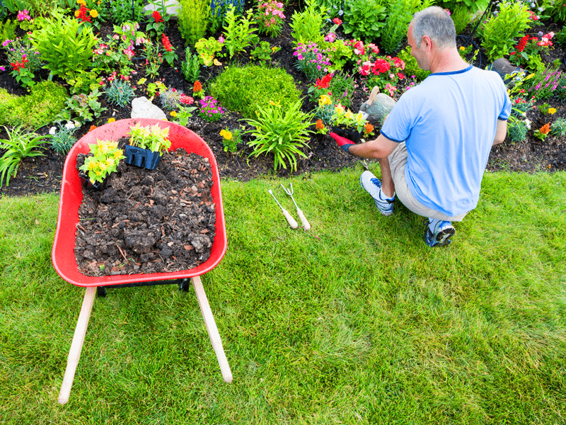 Do Yourself Landscaping Backyard Landscape Ideas The Home Depot within How To Landscape A Backyard Yourself