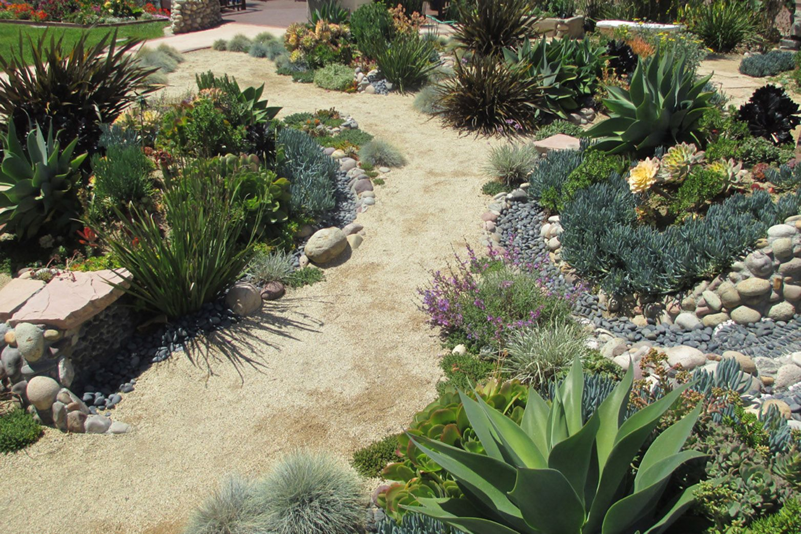 Drought Tolerant Landscaping Ideas - Modlar.com throughout The Art of Xeriscaping Without Sacrificing Color or Texture in 2026