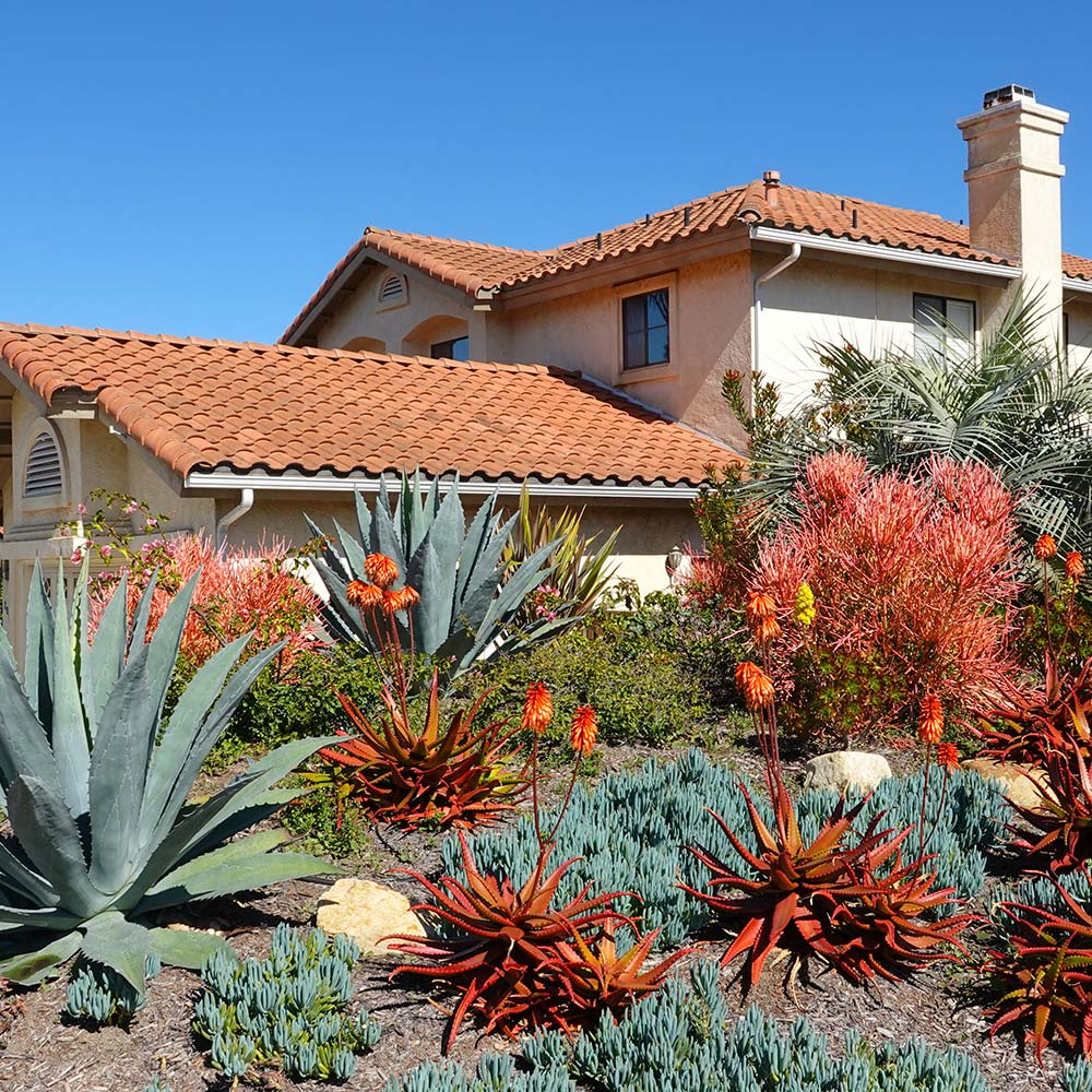 Drought Yard Landscaping Smart Water Saving Landscaping That Keeps with Turning Your Backyard into a Fire Smart Oasis Without Sacrificing Beauty