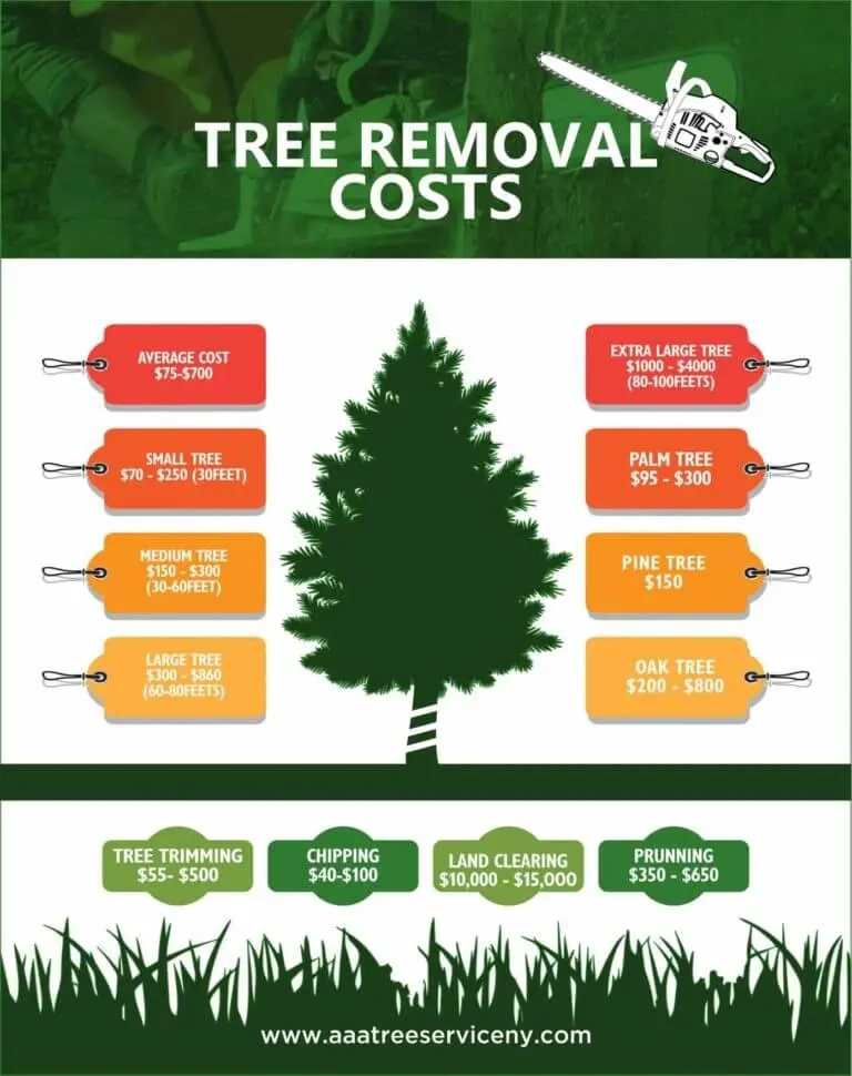 Emergency Tree Removal How Much Tree Removal Service Near Me intended for How Much Does Tree Removal Cost