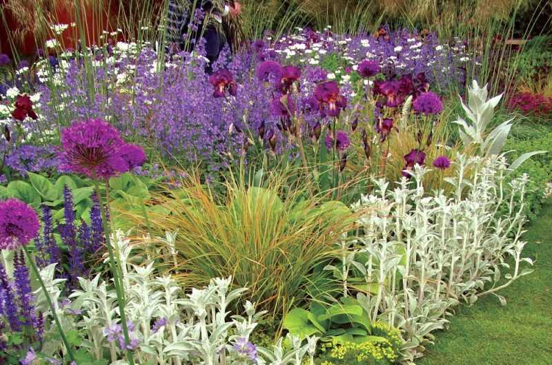 English Perennial Border English Cottage Garden Border | Garden On A throughout Designing a Low-Maintenance Perennial Border That Thrives in 2026