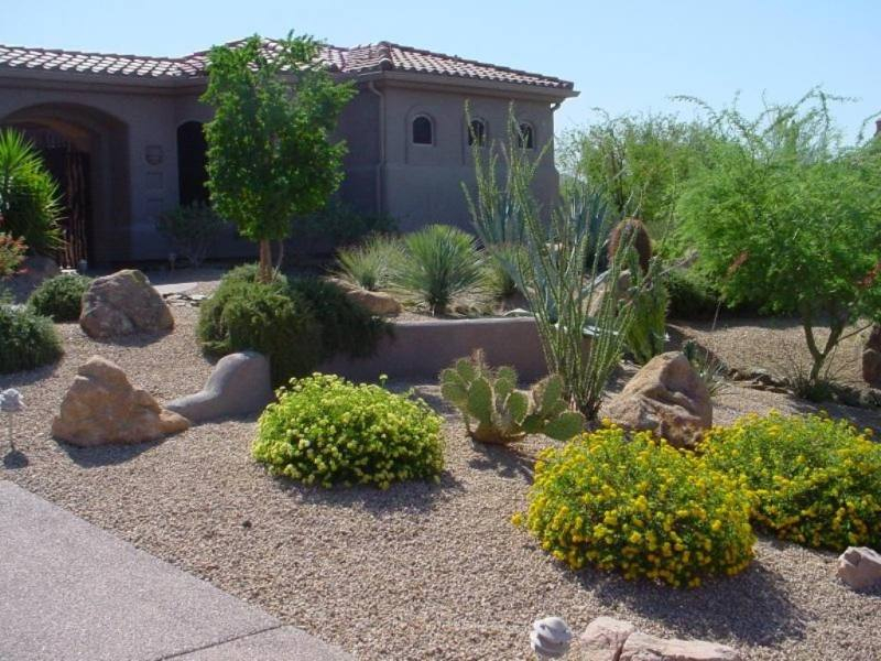 Fence Landscaping Ideas Desert Landscape Design Services In Az | Trees intended for The Secret to Cool Roots and Less Water Use in Arid Climates