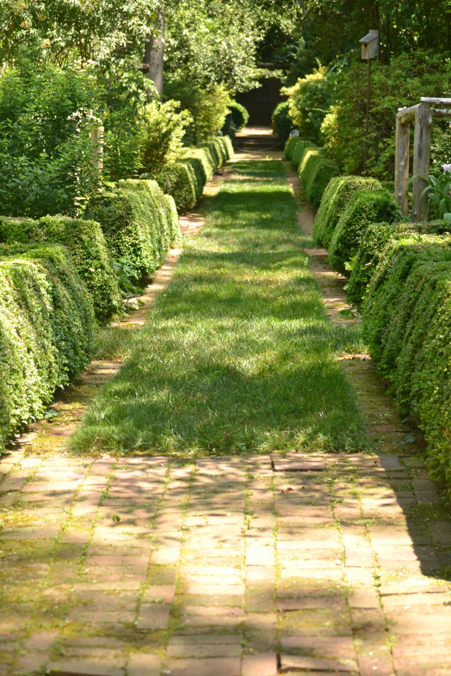 Free Images : Path, Pathway, Grass, Plant, Lawn, Flower, Stone, Walkway ... pertaining to Turning an Empty Yard Into a Cohesive Landscape With Strategic Path Placement