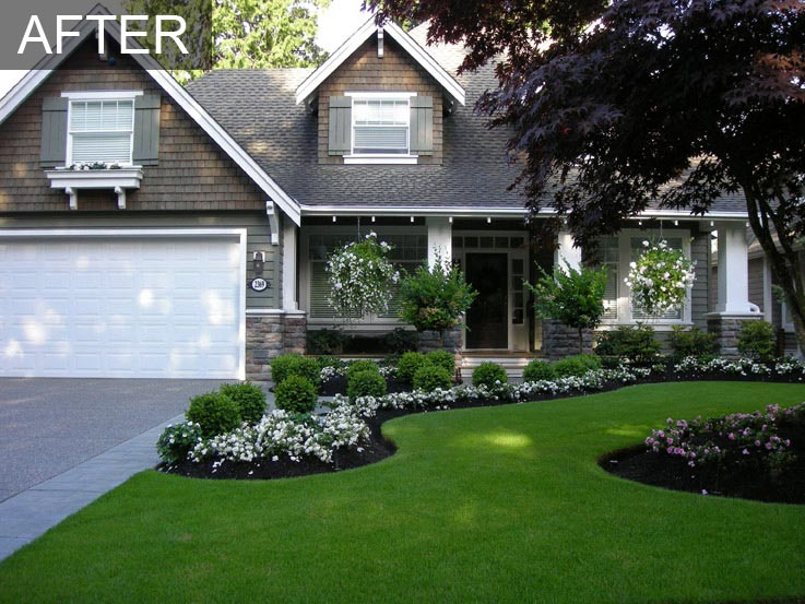 Front Yard Front Yard Makeover Transformation | South Surrey Bc regarding Why Native Plants Are the Secret to Affordable Landscaping