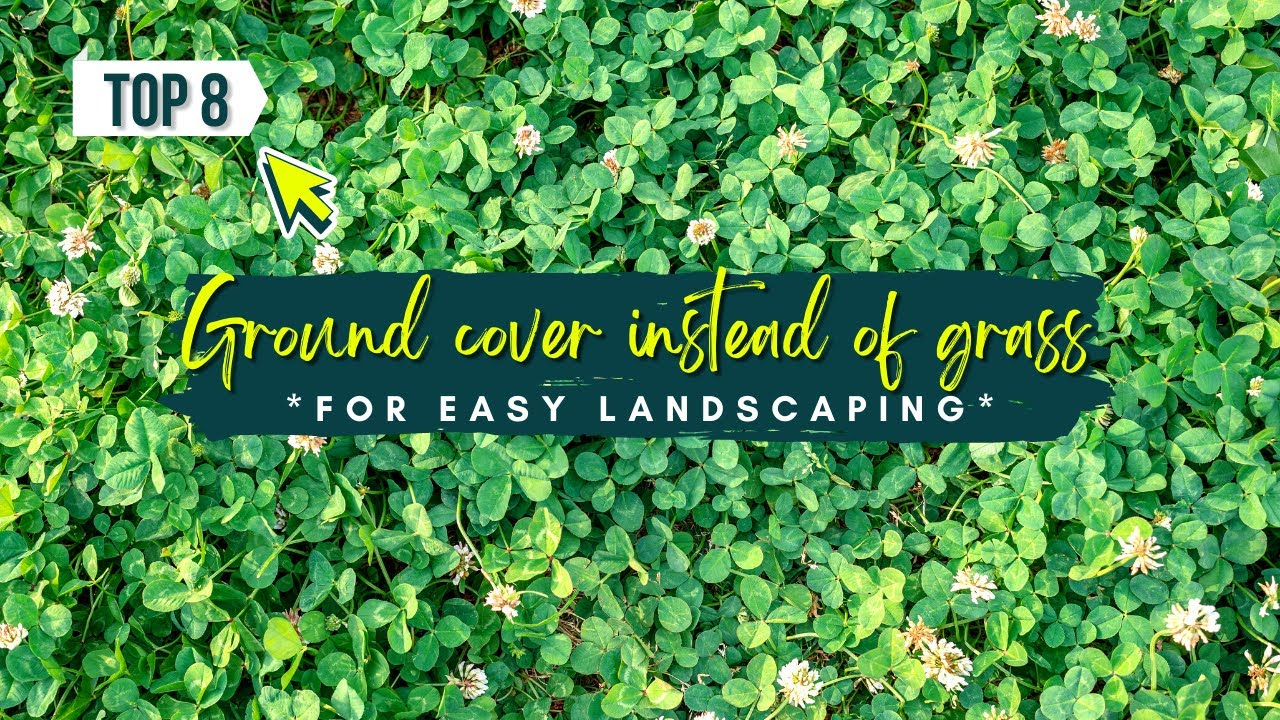 Ground Cover Instead Of Grass For Easy Landscaping 🌼 - Youtube in Stop Mowing and Start Saving with These Low Maintenance Ground Cover Alternatives