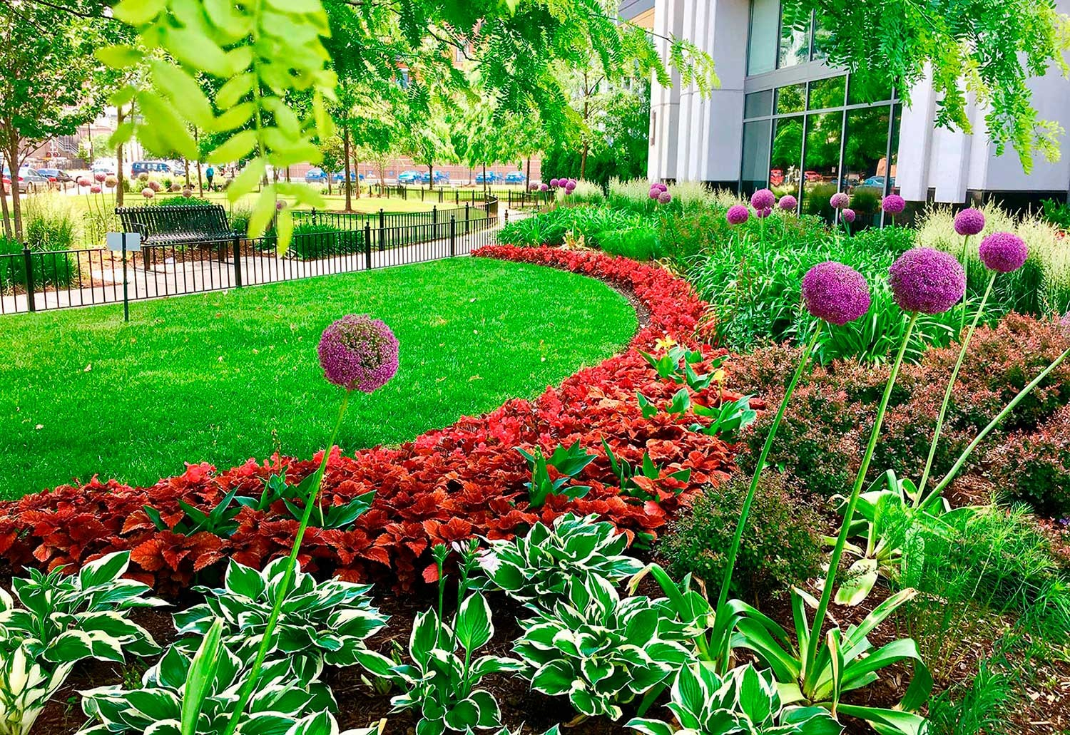 How Professional Landscaping Ideas Can Transform Your Property – Grace ... with Why Timing Your Pruning Correctly Changes Everything for Next Season