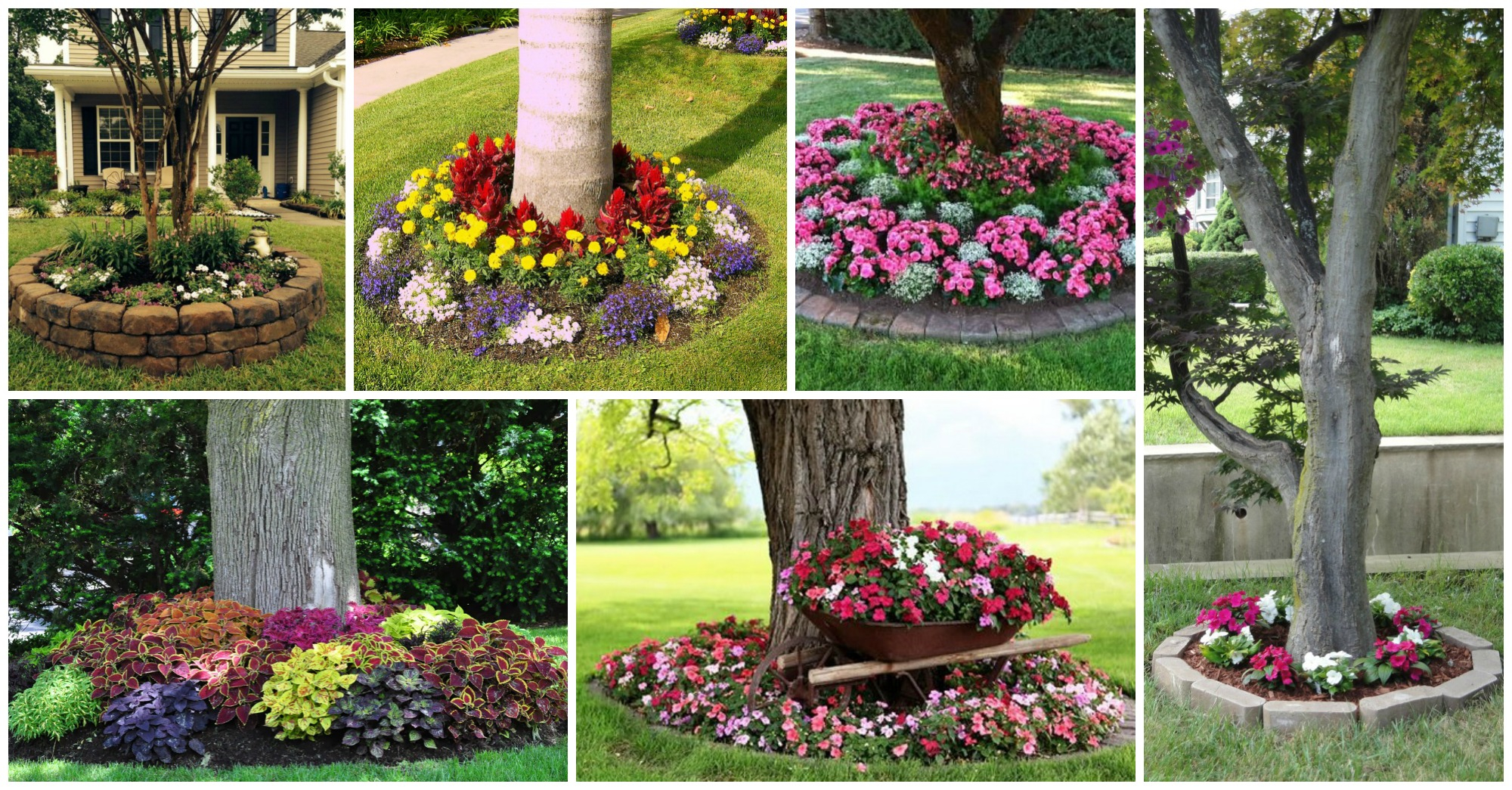 How To Design A Garden Around A Tree At Jayden Scrymgeour Blog intended for Simple front yard tree landscaping tricks that boost curb appeal instantly