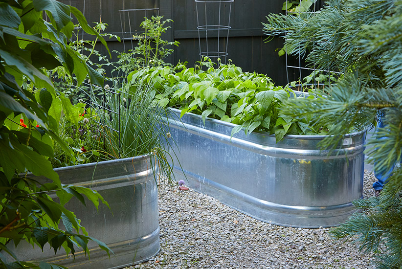 How To Grow Vegetables In A Galvanized Raised Garden Bed | Garden Gate in Galvanized Tub Raised Bed Cost