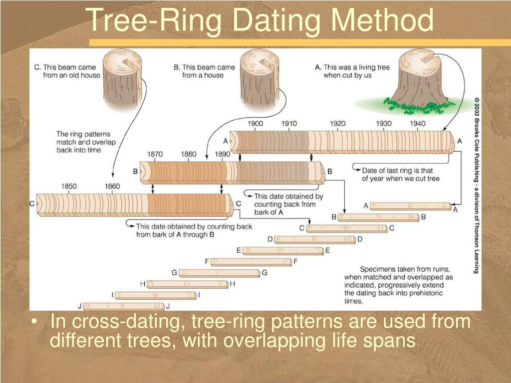 How To Measure For A Tree Ring At Carmella Vanzant Blog with regard to Tree Ring Landscaping Ideas
