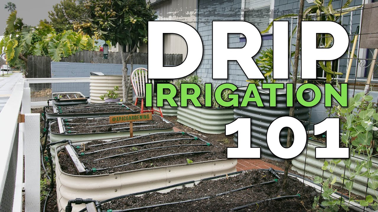 Installing A Drip Irrigation System For Raised Beds (Before &amp;amp; After) with regard to Drip Irrigation Cost Per Garden Bed
