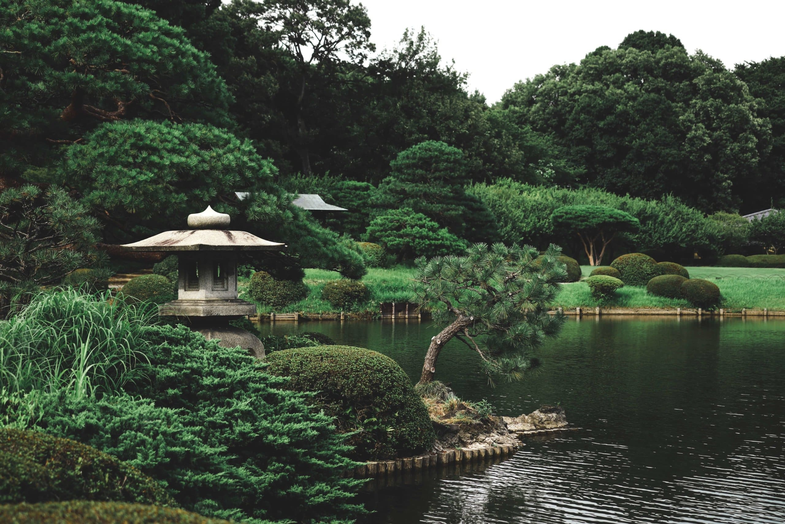 Japan's Most Beautiful Gardens: Tokyo, Kyoto, & Beyond intended for Essential Elements for Building an Authentic Japanese Garden at Home