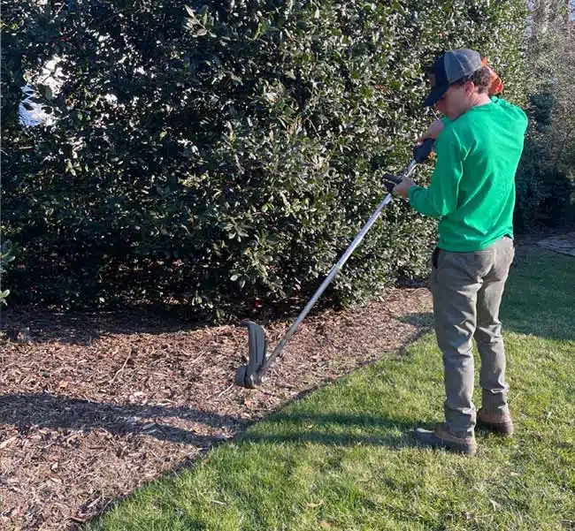 Landscaping Companies Near Me - The Vine Landscaping for Why the lowest bid for landscaping might cost you more in the long run