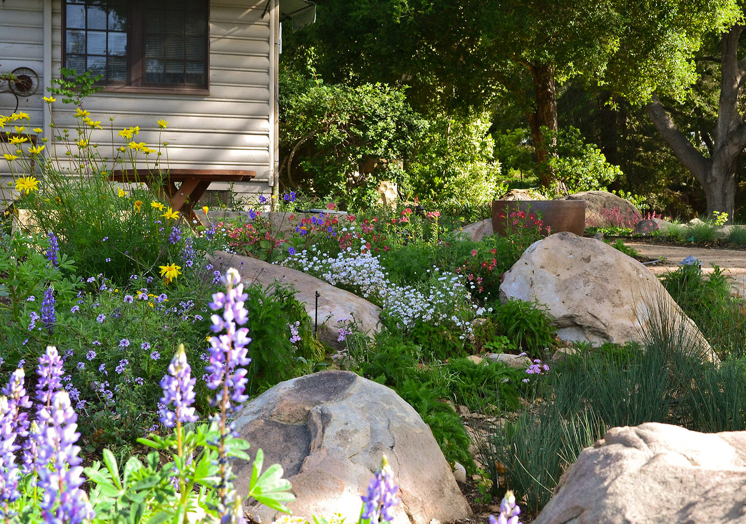 Landscaping With Native Plants intended for Small Steps Matter When You Pledge to Add More Natives to Your Home Garden