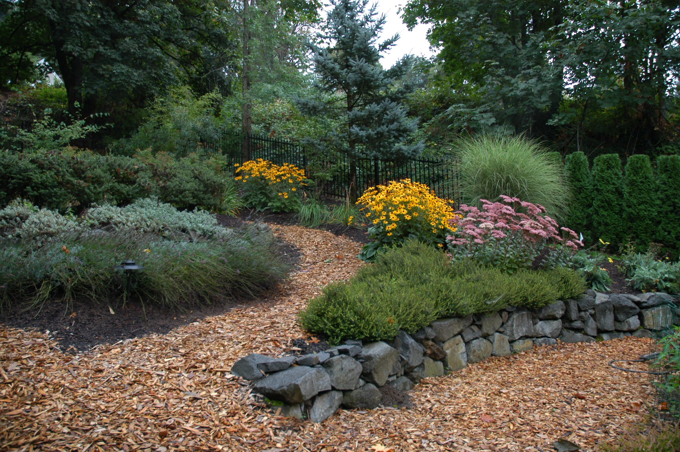 Low Maintenance Landscaping regarding Reclaim Your Weekends with These Low Maintenance Landscaping Ideas for 2026
