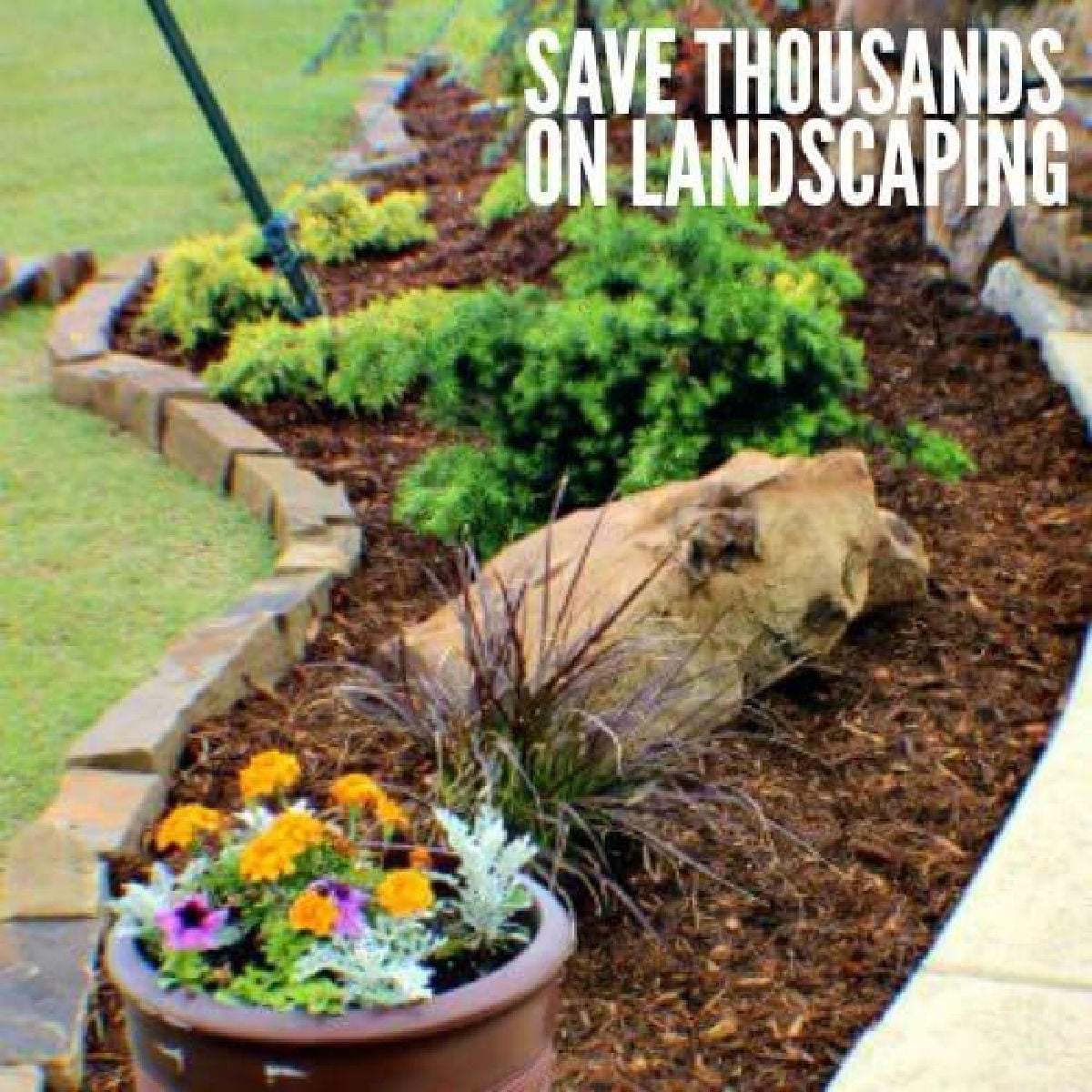 Money Saving Landscaping Ideas - 7 Money Saving Landscaping Tips within Why Starting Small Is the Best Financial Move for DIY Landscapers