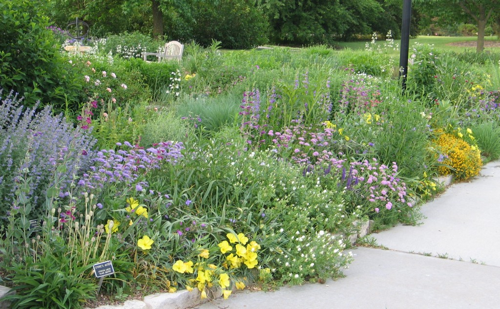 Native Plant Landscaping Design with regard to Native Plants Front Yard Landscaping