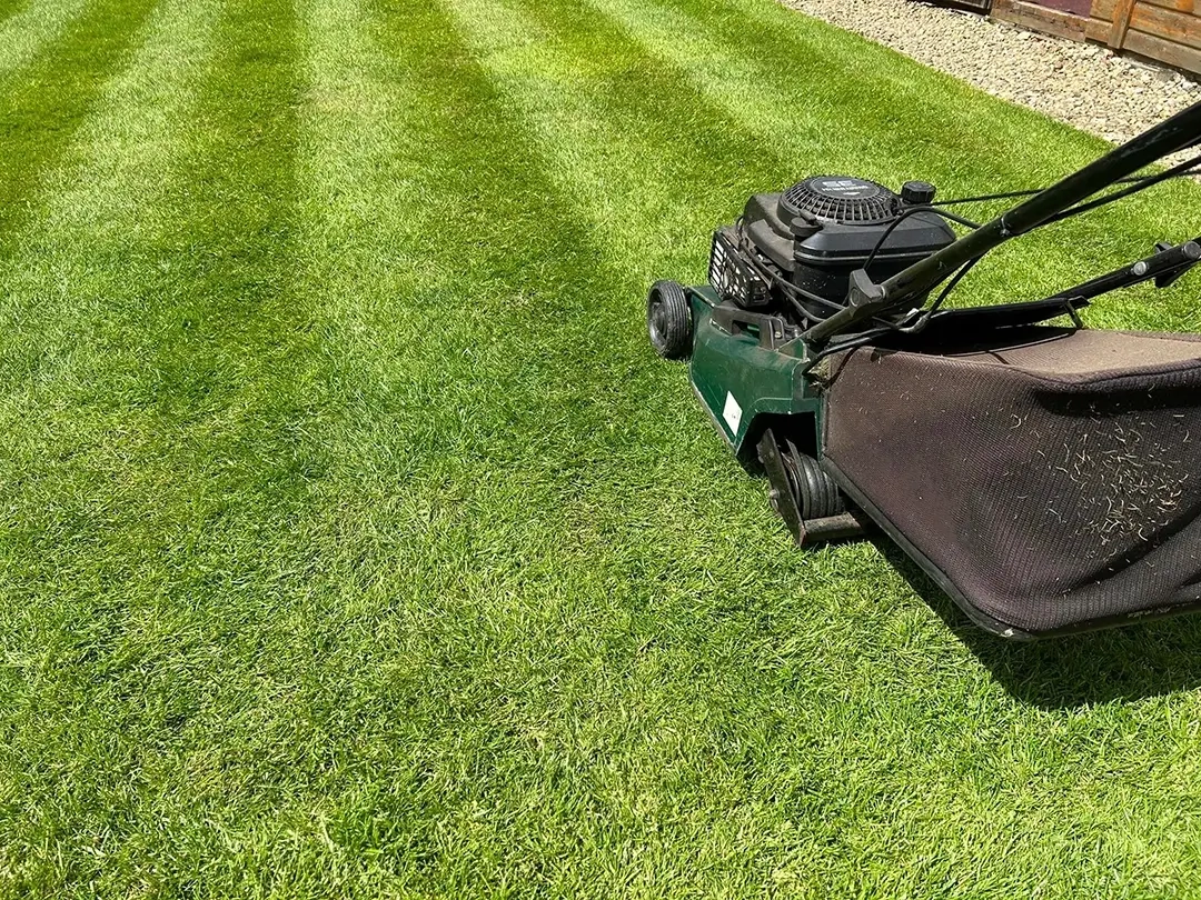 Need Lawn Care Help Finding Your Perfect Mower with Smart Strategies for Keeping Your Expansive Lawn Neat Without Breaking the Bank